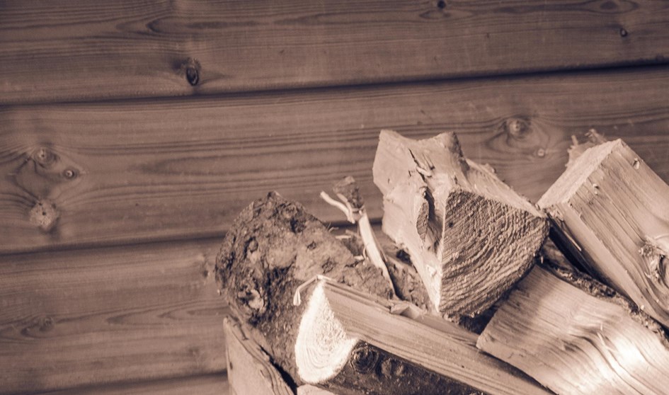 Pexels James Frid 81279 705819 (1)